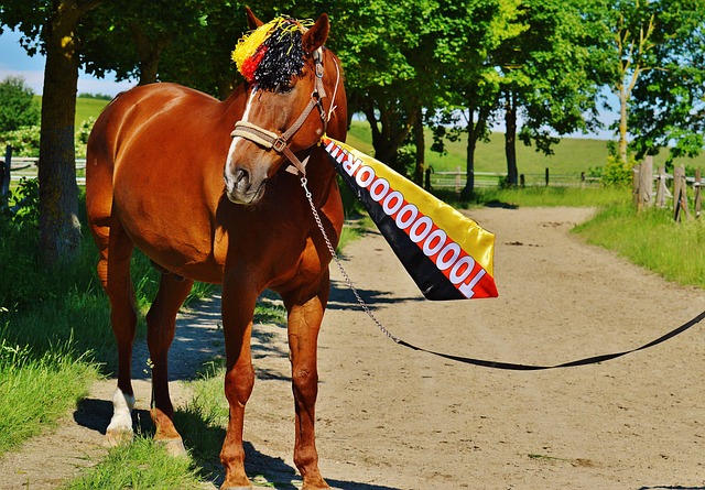 造奇迹的可 造奇迹的可