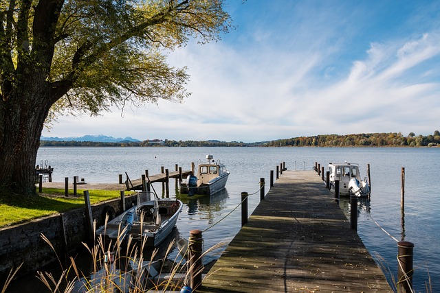 小的关注 小的关注